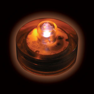 FLORALYTE  SUBMERSIBLE - ORANGE - PAQUET DE 10 - 2 BATTERIES CR2032 INCLUSES & REMPLAÇABLES