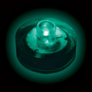 FLORALYTE  SUBMERSIBLE - SARCELLE - PAQUET DE 10 - 2 BATTERIES CR2032 INCLUSES & REMPLAÇABLES